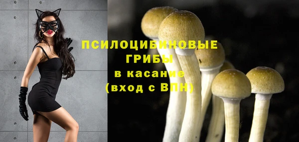 мескалин Абинск