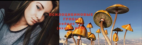 дурь Абаза
