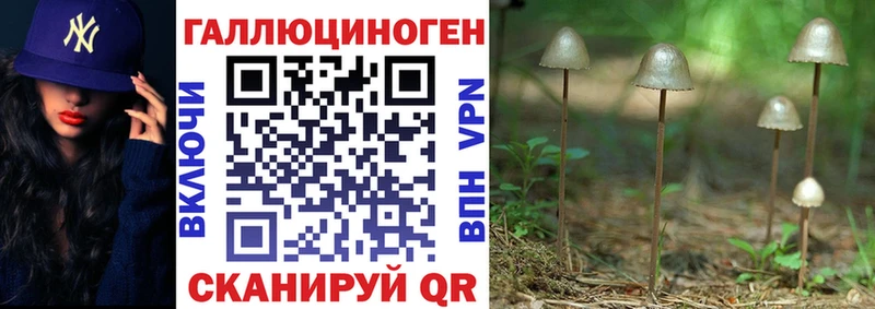 Псилоцибиновые грибы Psilocybine cubensis Чекалин