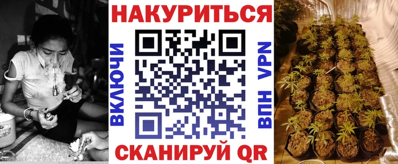 Каннабис план  купить наркоту  Чекалин 